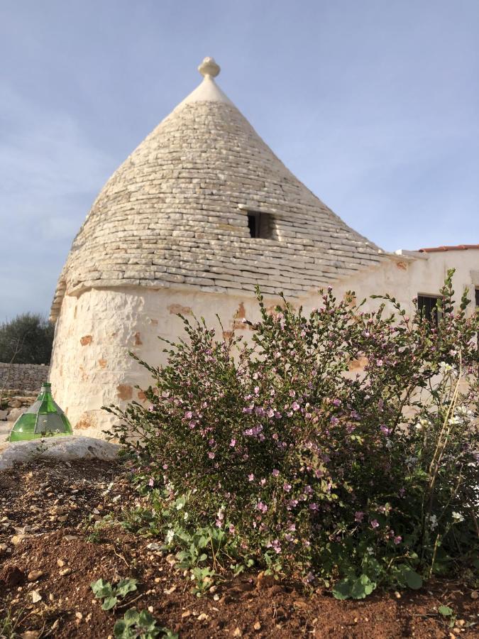 Hotel I Trulli Del Fauno Alberobello Zewnętrze zdjęcie